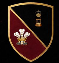 Wattstown RFC Minis